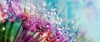 фото8
