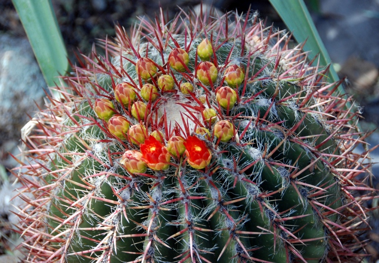 фото2