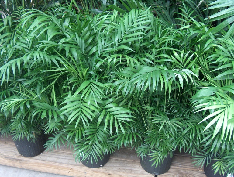 фото9