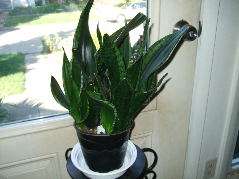 фото6